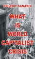 Okładka książki: What Is World Capitalist Crisis