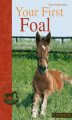 Okładka książki: Your First Foal