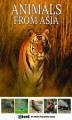 Okładka książki: Animals from Asia
