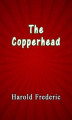 Okładka książki: The Copperhead