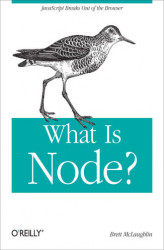 Okładka: What Is Node?
