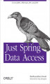 Okładka książki: Just Spring Data Access