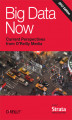 Okładka książki: Big Data Now: 2012 Edition