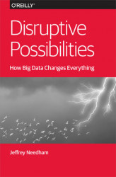 Okładka: Disruptive Possibilities: How Big Data Changes Everything