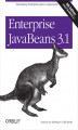 Okładka książki: Enterprise JavaBeans 3.1
