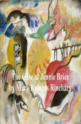 Okładka: The Case of Jennie Brice