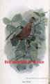Okładka książki: Bird Study Book
