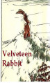 Okładka książki: Velveteen Rabbit