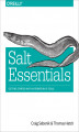 Okładka książki: Salt Essentials