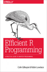 Okładka: Efficient R Programming. A Practical Guide to Smarter Programming