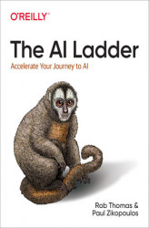 Okładka: The AI Ladder. Accelerate Your Journey to AI