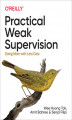 Okładka książki: Practical Weak Supervision