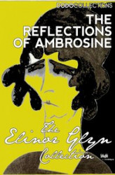 Okładka: The Reflections of Ambrosine. A Novel