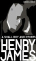 Okładka książki: A Small Boy and Others: James Henry Autobiography