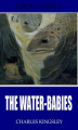 Okładka książki: The Water-Babies