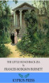 Okładka książki: The Little Hunchback Zia