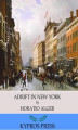 Okładka książki: Adrift in New York