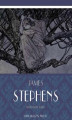 Okładka książki: Irish Fairy Tales