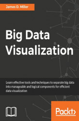 Okładka: Big Data Visualization