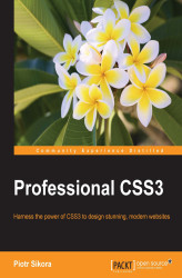 Okładka: Professional CSS3
