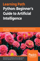 Okładka: Python: Beginner's Guide to Artificial Intelligence