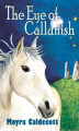 Okładka książki: The Eye of Callanish