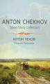 Okładka książki: In A Strange Land and Other Stories. Anton Chekhov Short Story Collection. Volume 1
