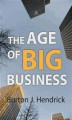 Okładka książki: The Age of Big Business