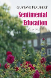 Okładka: Sentimental Education: The History of a Young Man