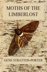 Okładka: Moths of the Limberlost