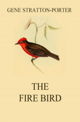 Okładka: The Fire Bird