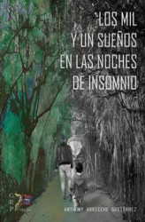 Okładka: Los mil y un sueños en las noches de insomnio