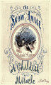 Okładka książki: The Snow Image