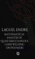 Okładka książki: Mathematical Analysis of Quasi-Simultaneous Laser Welding on Polymers