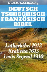 Okładka: Deutsch Tschechisch Französisch bibel.