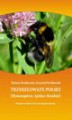Okładka książki: Trzmielowate Polski. (Hymenoptera: Apidae: Bombini)