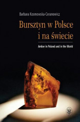 Okładka: Bursztyn w Polsce i na świecie. Amber in Poland and in the World