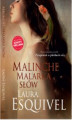 Okładka książki: Malinche. Malarka słów