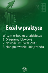 Okładka: Excel w praktyce, wydanie październik 2014 r.