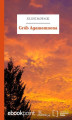 Okładka książki: Grób Agamemnona
