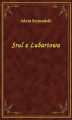Okładka książki: Srul z Lubartowa
