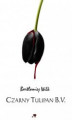 Okładka książki: Czarny Tulipan B.V.