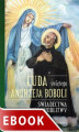 Okładka książki: Cuda świętego Andrzeja Boboli