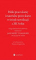 Okładka książki: Polski proces karny i materialne prawo karne w świetle nowelizacji z 2013 roku