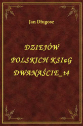 Okładka: Dziejów Polskich Ksiąg Dwanaście T4
