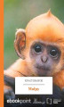 Okładka książki: Małpy