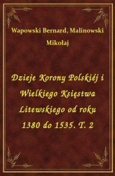 Okładka: Dzieje Korony Polskiéj i Wielkiego Księstwa Litewskiego od roku 1380 do 1535. T. 2