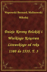 Okładka: Dzieje Korony Polskiéj i Wielkiego Księstwa Litewskiego od roku 1380 do 1535. T. 3