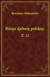 Okładka: Dzieje kultury polskiej, T. II
