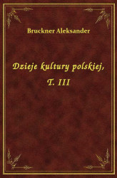 Okładka: Dzieje kultury polskiej, T. III
